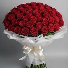 Букет 101 Красная роза Блэк Мэджик в Петрово-Дальнее