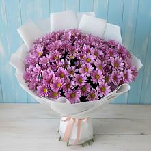 Букет цветов из:  Хризантемы в Петрово-Дальнее