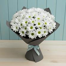 Букет цветов из:  Хризантемы в Петрово-Дальнее
