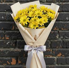 Букет цветов из:  Хризантемы в Петрово-Дальнее