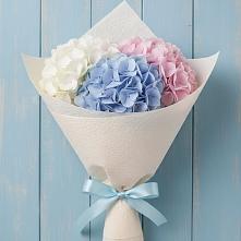 Букет цветов из:  Гортензия в Петрово-Дальнее