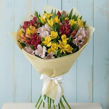Букет цветов из:  Альстромерии #REPLACE_PRED# Петрово-Дальнее