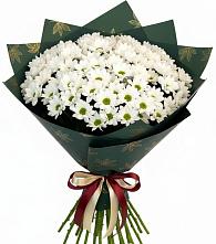 Букет цветов из:  Хризантемы в Петрово-Дальнее